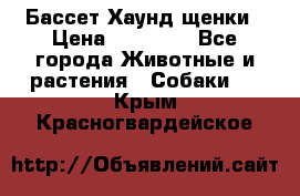 Бассет Хаунд щенки › Цена ­ 20 000 - Все города Животные и растения » Собаки   . Крым,Красногвардейское